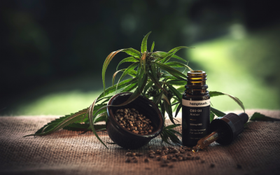 Quelles sont les differentes plantes de CBD et quels sont les bienfaits ?